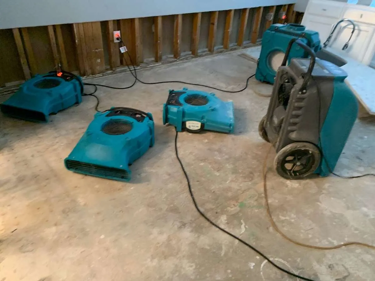 Basement Flood Cleanup in Vicksburg, MS